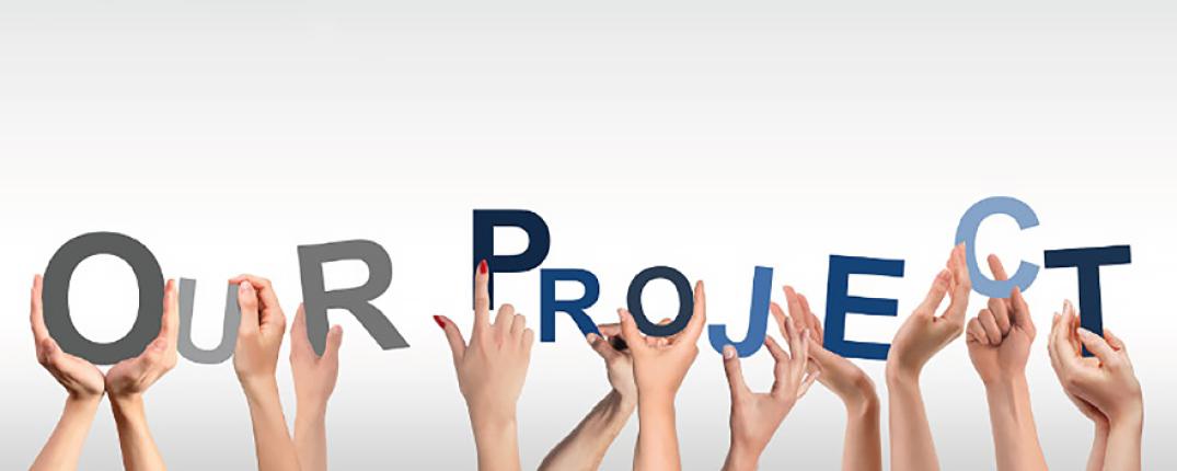 Celebrating 10 years and 20 projects of successful outcomes through smart stakeholder engagement in over 10 countries