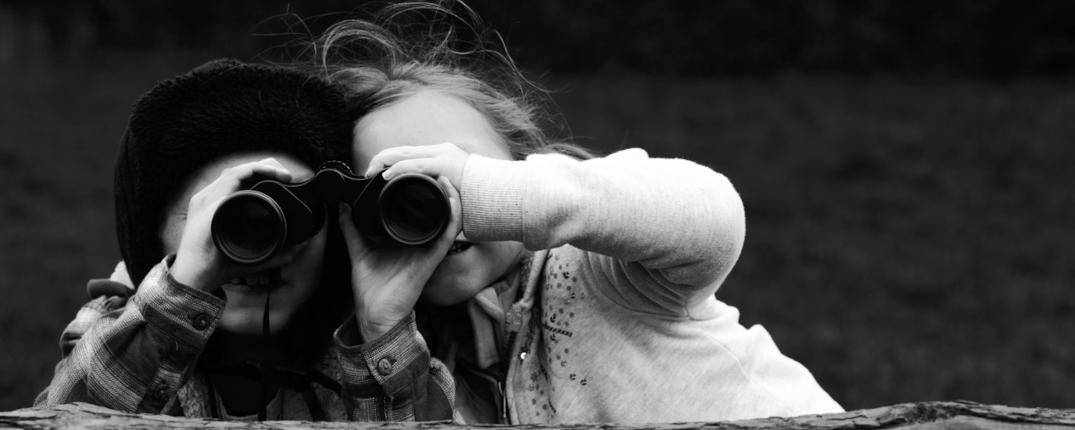 Community preparation: agreeing a common vision and supporting goals